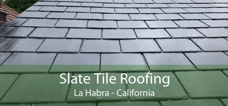 Slate Tile Roofing La Habra - California