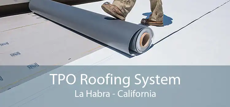 TPO Roofing System La Habra - California