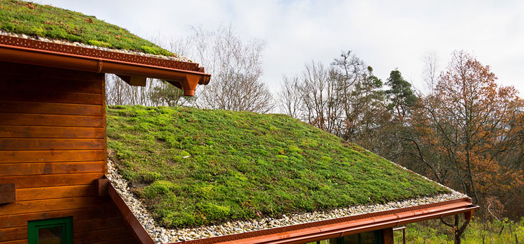 La Habra Residential Green Roof